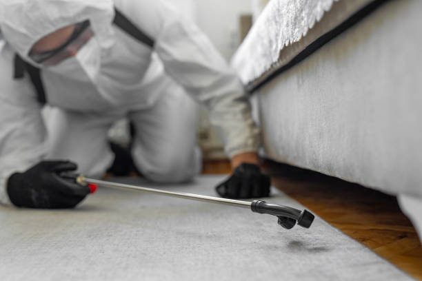 Professional Bed Bug Control technician working in Deer Lodge, MT