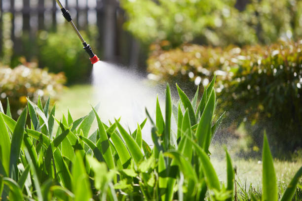 24/7 Emergency Bed Bug Control experts in Deer Lodge, MT
